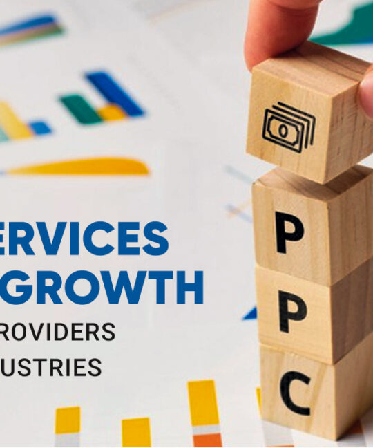 Maximizing ROI: How PPC Services Drive Growth for SaaS Providers Across Industries
